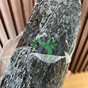 Caoutchouc naturel Premium SVR 20 de Baiyue Prix compétitif de haute qualité pour les besoins de moulage de l'industrie automobile - Product Image 1