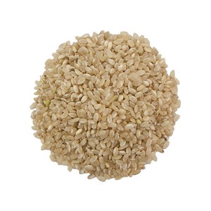 Riz rond de qualité supérieure, qualité constante, fournisseur en gros de texture douce pour les acheteurs internationaux - Product Image 2