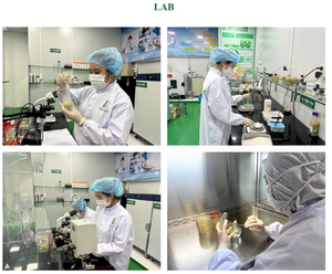 Bebida de Nido de Pájaro Cocido Adecuada para la Edad, Suplementos Nutricionales KhaNest con Taurina y Lisina para Niños y Adultos, Caja al por Mayor - Product Image 3