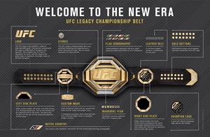UFC เข็มขัดตำแหน่งชนะเลิศแบบดั้งเดิมเข็มขัดตำแหน่งชนะเลิศโลโก้และดีไซน์แบบกำหนดเองแผ่นทองเหลืองอัลลอยหนา3มม. - Product Image 2