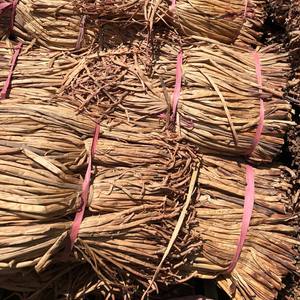 Producteur vietnamien de joncs de mer séchés en balles, prix le plus bas, joncs de mer naturels à vendre - Product Image 3