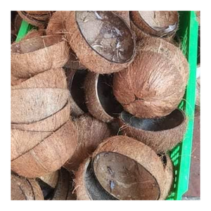 Coquille crue de noix de coco sélectionnée de qualité supérieure-Utilisation polyvalente dans les arts, les meubles, le charbon de bois biologique, les bougeoirs et les projets de jardin écologique - Product Image 4