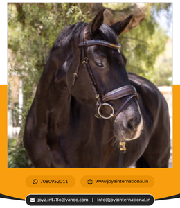 It & astermart-Kit de herramientas de diagnóstico para coche, juego de herramientas de decoración de coche, de diferentes colores - Product Image 2