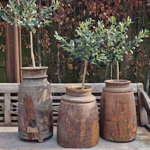 Maceta (Jardinera) de Madera Vintage de Himachal, Decoración de Arte de Lujo para el Hogar, Restaurante y Hotel con Acabado Personalizado para Navidad - Product Image 1