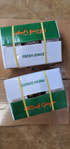Jengibre fresco de Vietnam Exportación de alta calidad al por mayor - Product Image 6