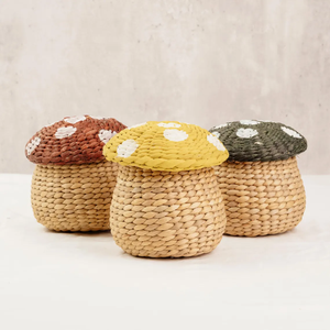 Cesta de Almacenamiento de Coco Tejida a Mano con Tapa para Hongos - Product Image 3
