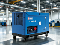 Générateurs diesel silencieux de 15 kW pour la maison, 20 kVA max, bicylindre en V, démarrage électrique, groupe électrogène diesel AVR, réservoir de 26 L, 230 V 400 V