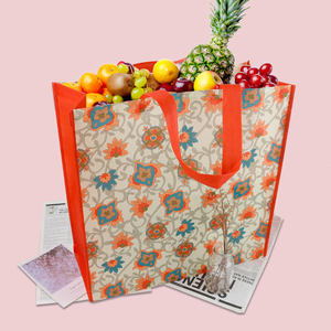 Bolsa de Compras de Tela No Tejida con Cierre de Gancho y Bucle - Product Image 1