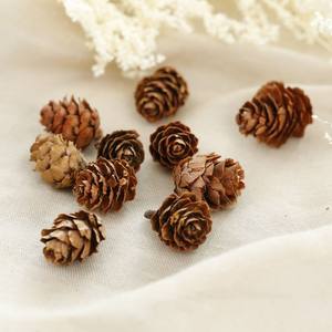 NOIX DE PIN DE NOËL rôties/DELICIOUS SNACK/PRÊT À L'UTILISATION POUR LES OCCASIONS DE FÊTE ET DE FÊTE - Product Image 3