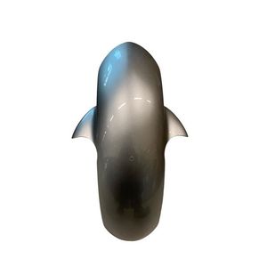 Parafango Anteriore per Moto Yamaha R1 02-03 e FZ1 06 5PW2151101P2 - Product Image 1