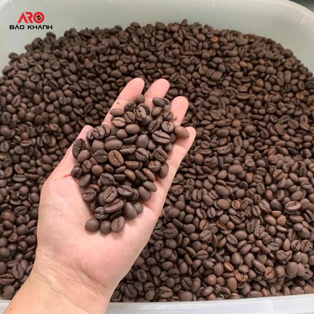 Бесплатный образец жареного кофе в зернах Robusta на заводе Viet Nam 0,25 кг мешок OEM сильный вкус оригинальный кофе готовый экспорт хорошая цена