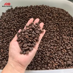 越南工厂免费样品罗布斯塔烘焙咖啡豆0，25千克袋贴牌来样定做味道浓郁原咖啡现成出口好价格
