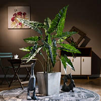 Planta Artificial de Alocasia Amazonica con Hojas Esculpidas de Vetas Intensas en Forma de Flecha, Ideal para Exhibiciones en Hoteles Boutique y Salas de Exposición