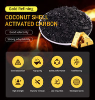 Charbon actif granulaire pour l'extraction de l'or par procédé CIP, haute capacité d'adsorption, haute résistance à l'usure, échantillon gratuit