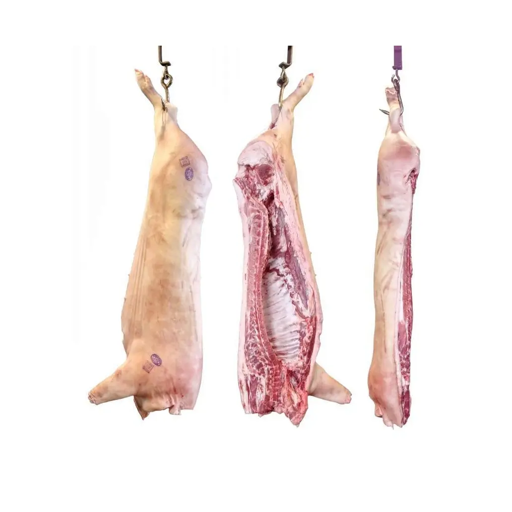 Produsen grosir dan pemasok dari Jerman babi beku 6 cara potong/wajan babi/daging babi kualitas tinggi harga murah