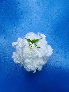 15Dx64mm HS - Hollow Non-conjugated Siliconized Polyester <b>fiber</b> - Product Image 5