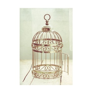 Jaula de pájaros de metal para loros y Pinzones que garantiza un fácil acceso a la limpieza de la alimentación con diseño ecológico extraíble para dueños de mascotas - Product Image 5