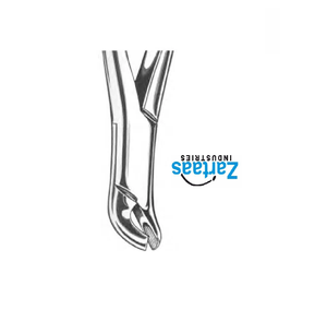 Pinzas de Extracción de Acero Inoxidable de Alta Calidad para Molares Inferiores, Figura 27, Exportadores y Fabricantes - Product Image 2