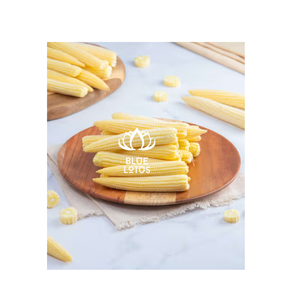 Disponible dès maintenant: Premium IQF Frozen & Fresh Yellow Sweet Baby Corn Vietnam Origin - Product Image 1