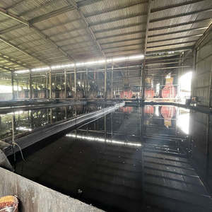 Cardanol liquide brut issu de coques de noix de cajou, qualité supérieure, fabrication vietnamienne, vente en gros, prêt à être expédié - Product Image 3