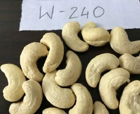 Kacang Mete Mentah Kualitas Afrika Barat Harga Murah