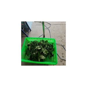 Polvo de hoja de yuca de grado alimenticio humano nutritivo hierro calcio vitamina rica hoja verde seca procesamiento higiénico exportación lista - Product Image 3