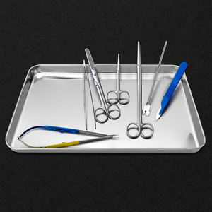 Bandeja Plana de Acero Inoxidable 304 para Instrumentos, Bandeja de Almacenamiento para Uso Veterinario, Quirúrgico, Médico y Otros - Product Image 2