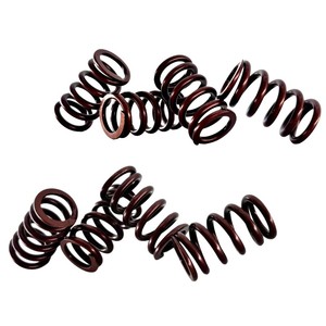 Ressort hélicoïdal en acier inoxydable résistant à la chaleur pour moteur de moto KAO Cygnus/pièces de mise à niveau incluses Reed de soupape - Product Image 1