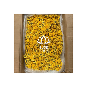 MATERIA PRIMA MARGARITAS SECAS MANZANILLA FLOR-BEBIDA TÉ PRODUCTO AL MEJOR PRECIO DE BLUE LOTUS FARM VIET NAM PRODUCTO MEJOR VENTA - Product Image 1