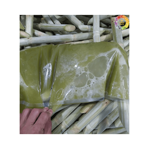 Palitos de caña de azúcar congelados de primera calidad para hacer jugo o masticar caña dulce, Exportación estándar, proveedor confiable - Product Image 1