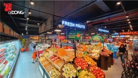 Étagère de Présentation ADONG A42 Personnalisée pour Fruits et Légumes de Supermarché, Simple Face, 1 à 7 Niveaux