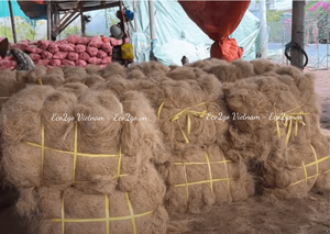100% exportación Natural de fibra de coco/fibra de coco a granel para colchón para agricultura de Eco2go Vietnam - Product Image 6