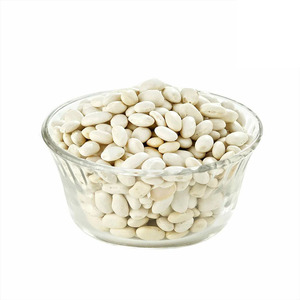 Factory Price Organic Large Size White Kidney <b>Beans</b> GMO-Free Bulk Packaging for Food Use Raw Processing Wholesale - Product Image 2