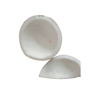 Carne de coco congelada 99 Gold Data: eleve sus creaciones culinarias con esta comida congelada de calidad premium - Product Image 1