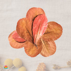 Feuilles en plastique Catappa d'amande indienne 26 à 30 cm / 10.2 à 11.8 "paquet de 30 pour accessoires d'aquarium - Product Image 1