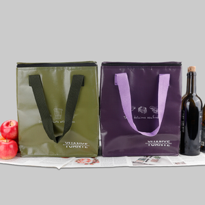 Classic Foldable Insulated Non-Woven Cooler Bag with Zipper Closure - Product Image 2