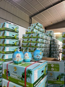 Prix de gros Pouce de noix de coco vert frais facile à ouvrir Style pouce de noix de coco vert frais jeune noix de coco facile à ouvrir du Vietnam - Product Image 4