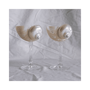 แก้วเปลือกหอยงานฝีมือสำหรับเครื่องดื่มวัสดุ: เปลือกหอยใช้: คาเฟ่เคาน์เตอร์ของตกแต่ง; ต้นกำเนิด: ผู้ผลิตชายฝั่งเวียดนาม - Product Image 6