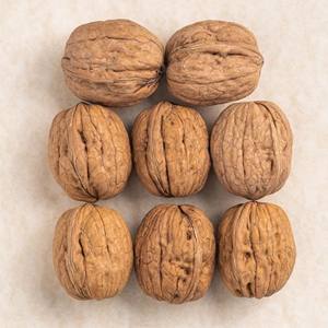 Nueces Orgánicas 2026 a Granel, Alimento Crudo de Calidad, Frutos Secos con Cáscara, Saludables y Nutritivos, Grado Superior, 24 Meses de Duración, en Bolsas Envasadas - Product Image 6