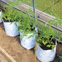Sacs de culture en LDPE noir et blanc pour pépinières, semis d'arbres, plantes à café, serres et agriculture – Vente en gros