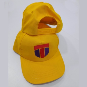 Gorra deportiva de lona de alta calidad de 5 paneles, diseño de camionero clásico para verano, gorra de malla de béisbol con logotipo personalizado para viajes, ocio informal - Product Image 6