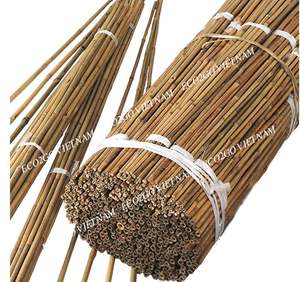 ไม้ไผ่จากเวียดนาม - ไม้ไผ่สำหรับงานก่อสร้างที่ดีที่สุด ผลิตโดย Eco2go ผู้ผลิตจากเวียดนาม - Product Image 3