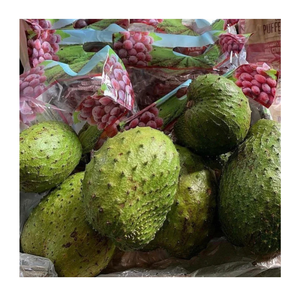 Pulpa de Guanábana Orgánica Premium con Semillas, Fruta de Guanábana Congelada IQF de la Mejor Calidad para Smoothies, Helados y Recetas de Comida Saludable - Product Image 1