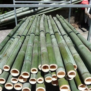 Vietnam bambou pôle exportation en gros | Vifarmex fiable fabricant usine fournisseur - Product Image 6