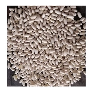 Haricots blancs de qualité supérieure en stock pour achat en gros avec expédition internationale - Product Image 1