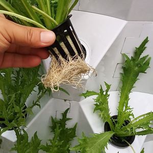 Systèmes hydroponiques verticaux modernes avec tour aéroponique pour l'agriculture urbaine en intérieur - Product Image 6