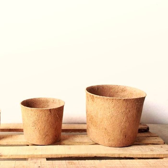 ธรรมชาติ