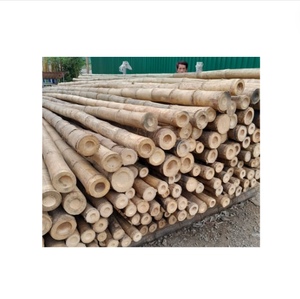 Wholesale Customized Size <b>Bamboo</b> Poles Hot Natural Materials <b>Bamboo</b> Poles for Making <b>Fence</b>/ Decoration Product From Vietnam - Product Image 1