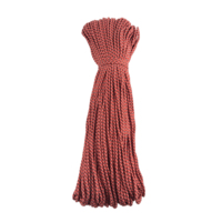 Corde d'escalade de camping de survie en plein air Paracord de 5mm 100M/Roll pour l'activité de plein air