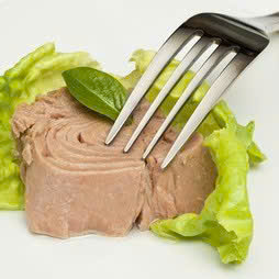 ปลาทูน่ากระป๋องเวียดนามที่มีรสชาติที่ยอดเยี่ยมตรงกับความน่าเชื่อถือที่ไม่เปลี่ยนแปลงที่ให้บริการตลาดโลกด้วยความเป็นเลิศ - Product Image 4